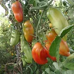 La Grange De La Dupuise Oda ve Kahvaltı